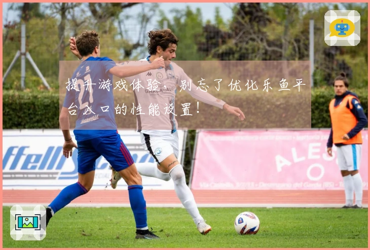 提升游戏体验，别忘了优化乐鱼平台入口的性能设置！