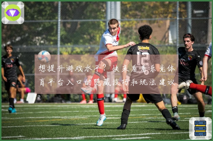 想提升游戏水平?快来看看乐竞体育平台入口的隐藏技巧和玩法建议!